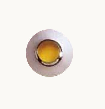 BN2376 - Rhinestone Shank Button